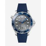 Omega Seamaster 300 Master Co Axial Strap 20Mm